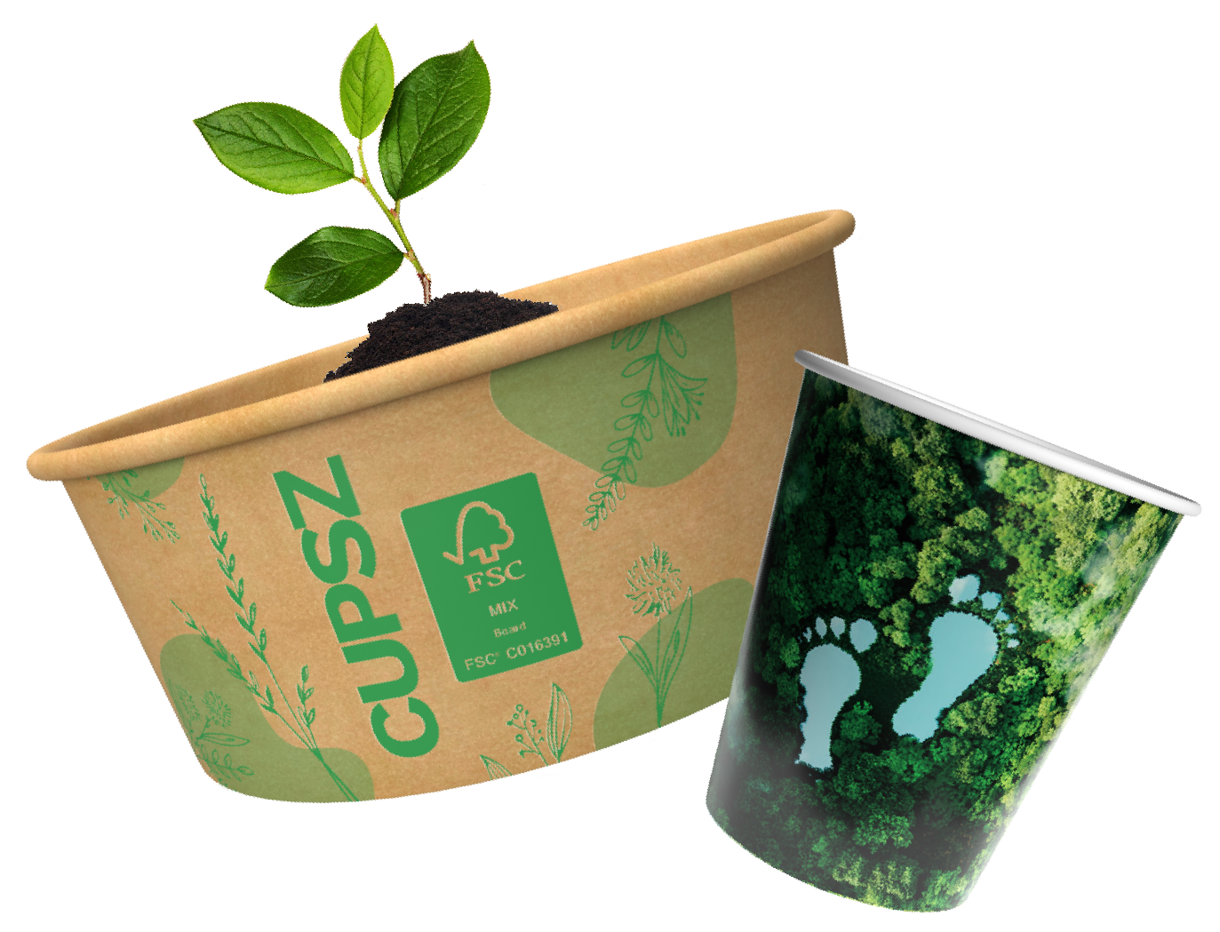 Nouveau un gobelet en carton réellement Biodégradable a 100% voici