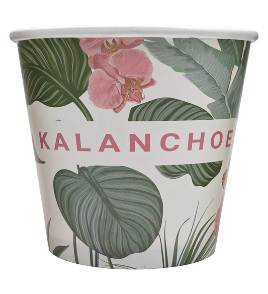 Custom printed Plantpot 17